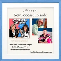 HOT FLASHES & COOL TOPICS artwork