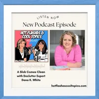 HOT FLASHES & COOL TOPICS artwork
