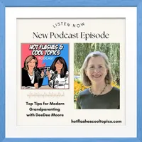 HOT FLASHES & COOL TOPICS artwork