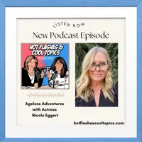 HOT FLASHES & COOL TOPICS artwork