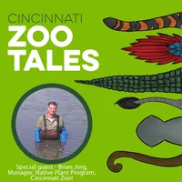 Cincinnati Zoo Tales artwork