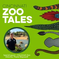 Cincinnati Zoo Tales artwork