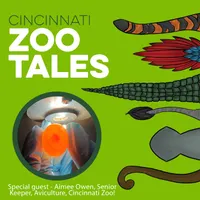 Cincinnati Zoo Tales artwork