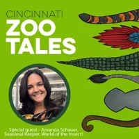 Cincinnati Zoo Tales artwork