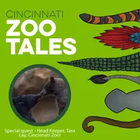 Cincinnati Zoo Tales artwork