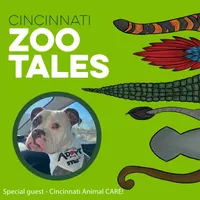 Cincinnati Zoo Tales artwork