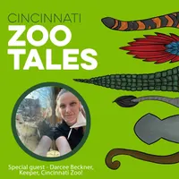 Cincinnati Zoo Tales artwork