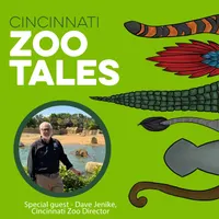Cincinnati Zoo Tales artwork