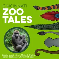 Cincinnati Zoo Tales artwork