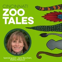 Cincinnati Zoo Tales artwork