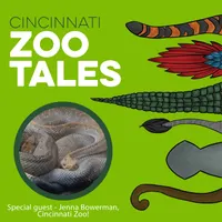 Cincinnati Zoo Tales artwork