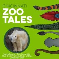 Cincinnati Zoo Tales artwork