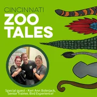 Cincinnati Zoo Tales artwork