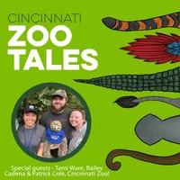 Cincinnati Zoo Tales artwork
