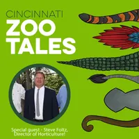 Cincinnati Zoo Tales artwork