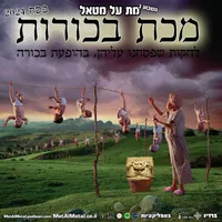 Met Al Metal - מת על מטאל artwork