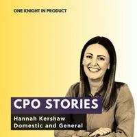 One Knight in Product artwork