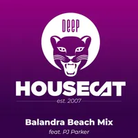 Deep House Cat artwork