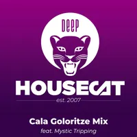 Deep House Cat artwork