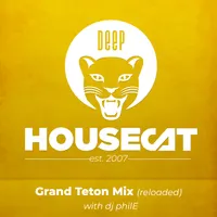 Deep House Cat artwork