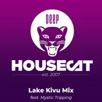 Deep House Cat artwork