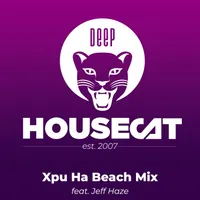 Deep House Cat artwork