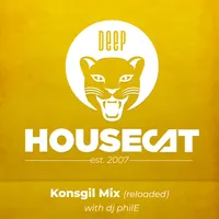 Deep House Cat artwork