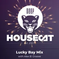 Deep House Cat artwork