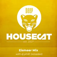 Deep House Cat artwork