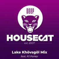 Deep House Cat artwork