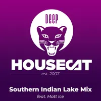 Deep House Cat artwork