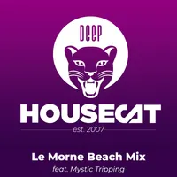 Deep House Cat artwork