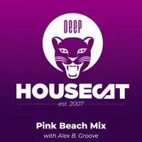 Deep House Cat artwork