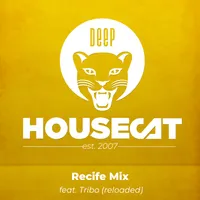 Deep House Cat artwork