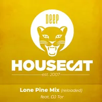 Deep House Cat artwork
