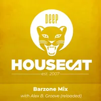 Deep House Cat artwork