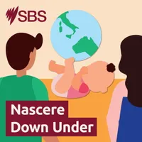 SBS Italian - SBS in Italiano artwork