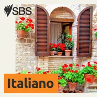 SBS Italian - SBS in Italiano artwork