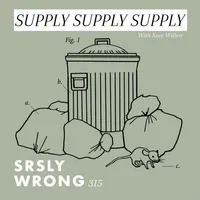 Srsly Wrong artwork