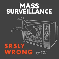 Srsly Wrong artwork