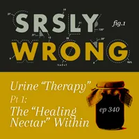 Srsly Wrong artwork