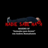 Samanté de Nadie Sabe Nada artwork