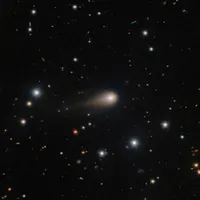 La Brújula de la Ciencia artwork