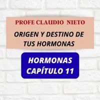 PROFE CLAUDIO NIETO artwork