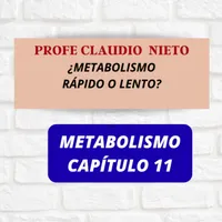 PROFE CLAUDIO NIETO artwork