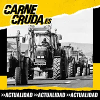 Carne Cruda - PROGRAMAS artwork
