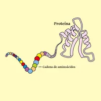 La Brújula de la Ciencia artwork