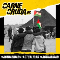 Carne Cruda - PROGRAMAS artwork