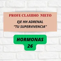 PROFE CLAUDIO NIETO artwork
