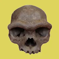 La Brújula de la Ciencia artwork